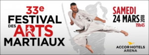 Festival Arts Martiaux